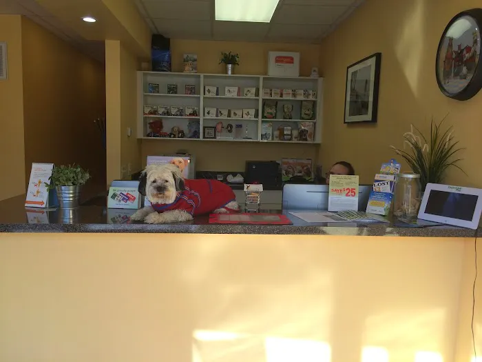 Glendale Veterinary Clinic 2