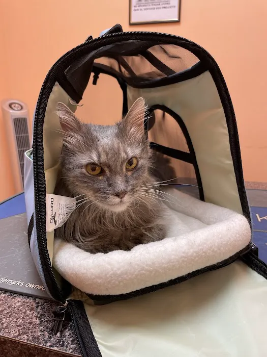 Glendale Veterinary Clinic 4