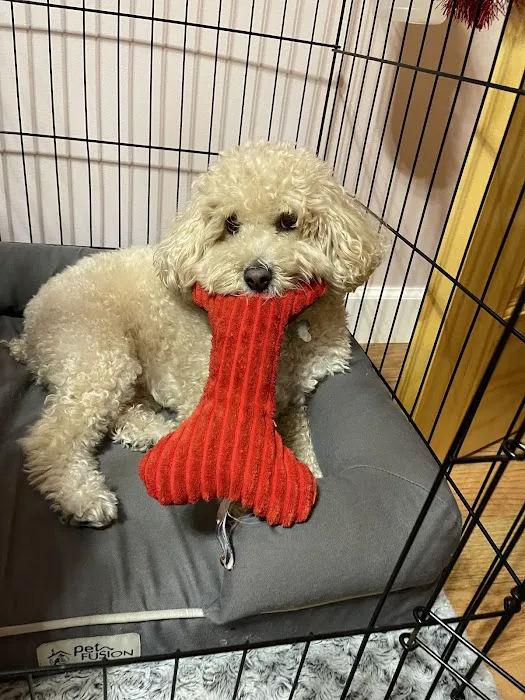 Glendale Veterinary Clinic 7