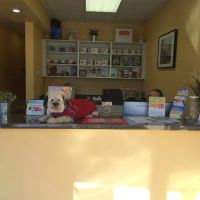 Glendale Veterinary Clinic ico