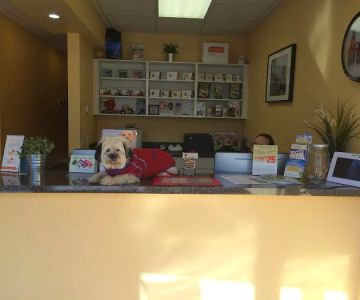 Glendale Veterinary Clinic