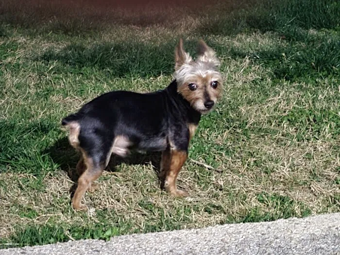 Glendale Veterinary Clinic 10