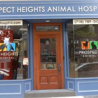 Prospect Heights Animal Hospital ico