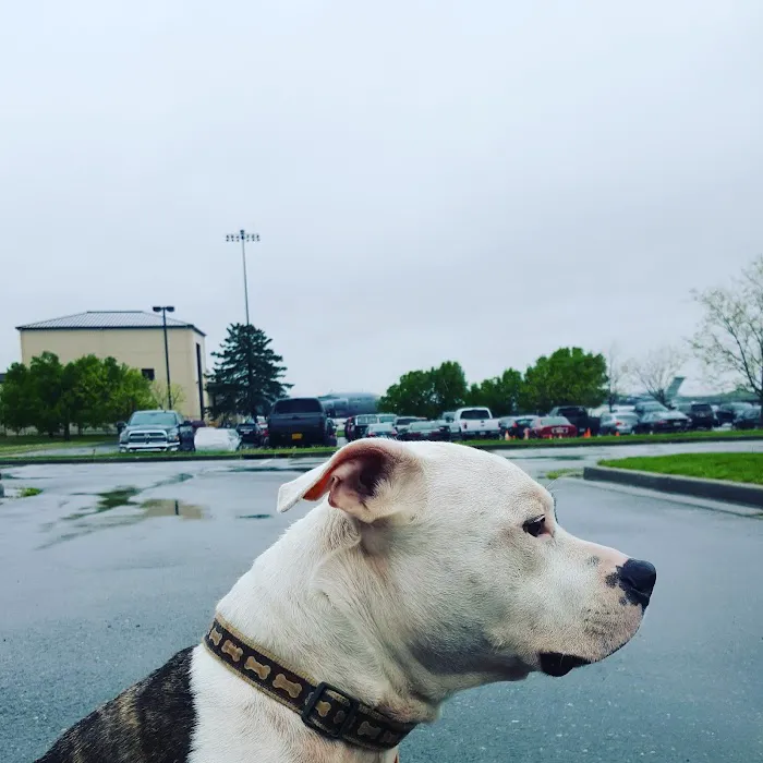 Prospect Heights Animal Hospital 12