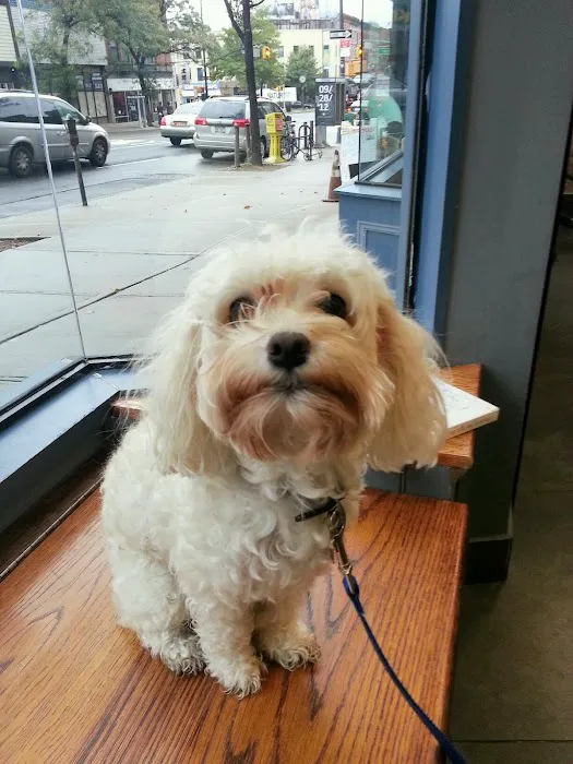 Prospect Heights Animal Hospital 12
