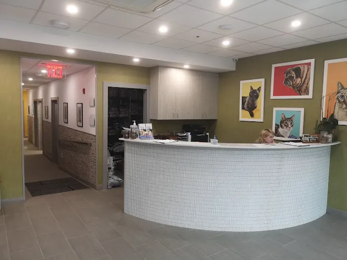 Franklin Ave Animal Hospital 2