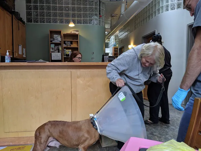 Hope Animal Hospital 12
