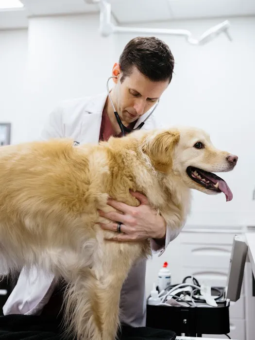 The Animal Cardiology Center 7