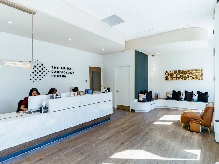 The Animal Cardiology Center 9