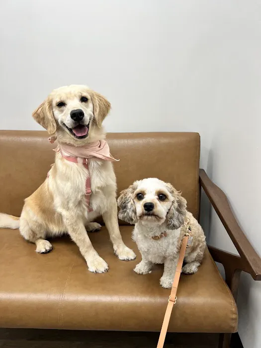 The Animal Cardiology Center 2