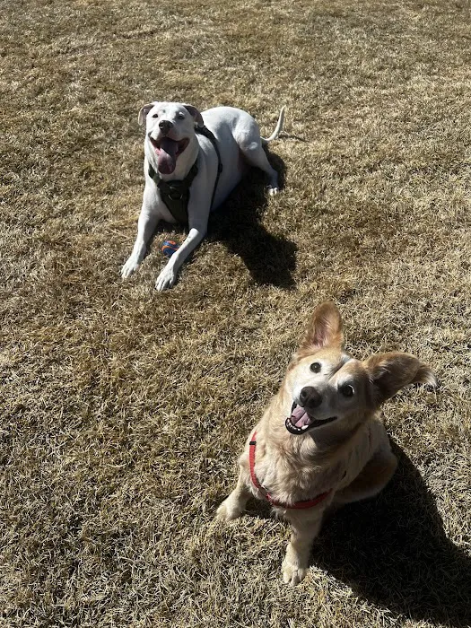 Pets R Us Commerce City 9