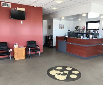 Pets R Us Commerce City