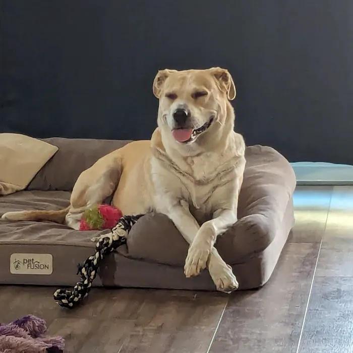 Pets R Us Commerce City 2