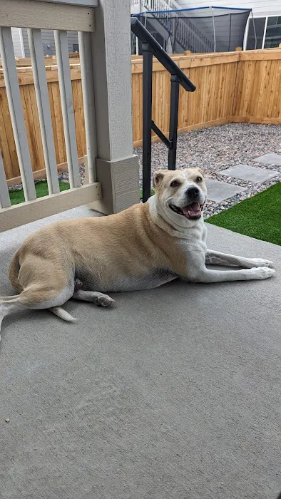Pets R Us Commerce City 3