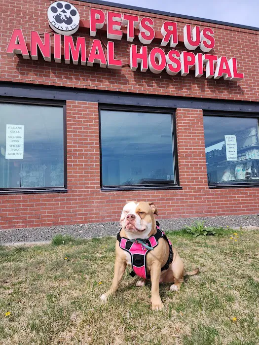 Pets R Us Commerce City 10