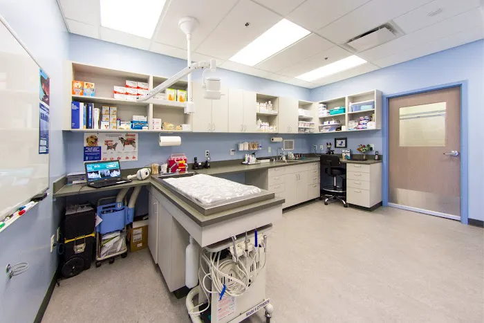 Vista Animal Hospital 1