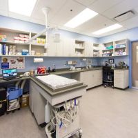 Vista Animal Hospital ico