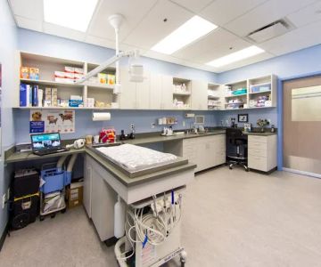 Vista Animal Hospital