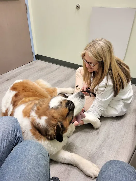 Vista Animal Hospital 3