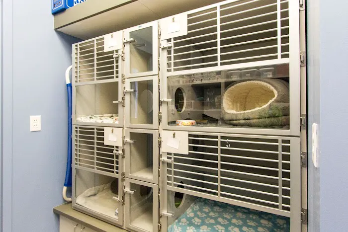 Vista Animal Hospital 7