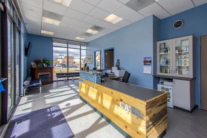 Vista Animal Hospital 4