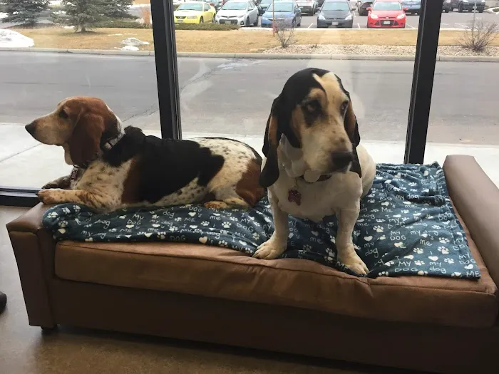 Vista Animal Hospital 9