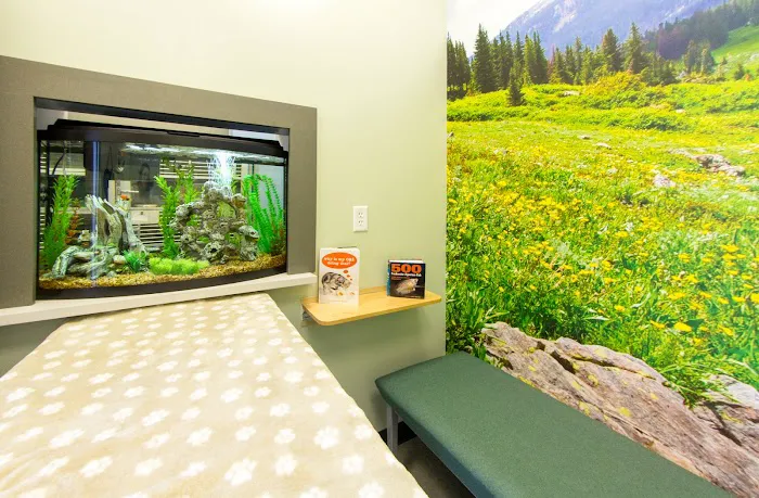 Vista Animal Hospital 6