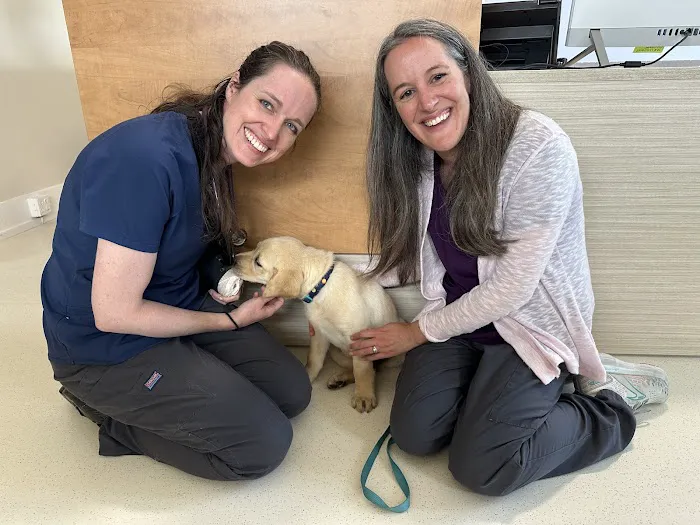 Coal Creek Animal Hospital 4