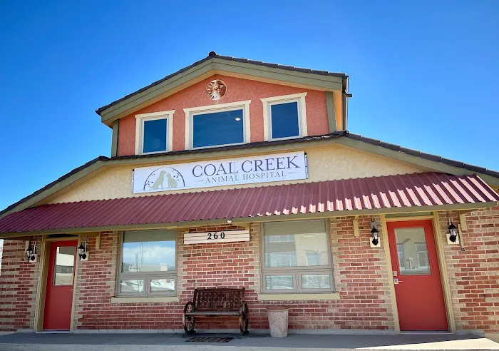 Coal Creek Animal Hospital 1