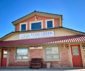 Coal Creek Animal Hospital