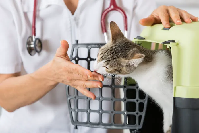 CCAPM Veterinary Care Center 12