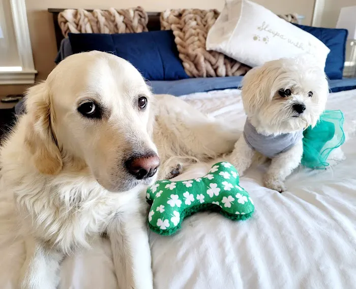 Banfield Pet Hospital 12