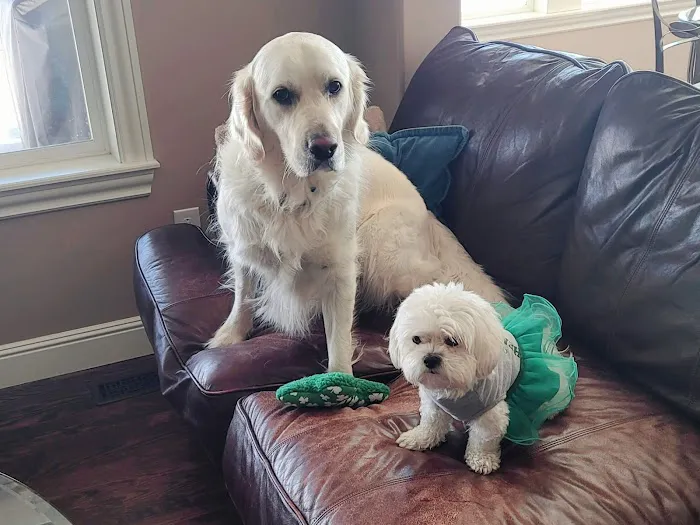 Banfield Pet Hospital 12