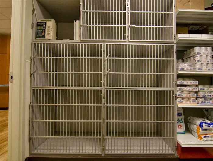 Advanced Pet Care of Parker 3