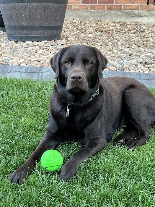 Advanced Pet Care of Parker 6