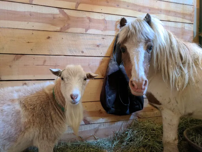 Aggie Vet and Farrier Services 5