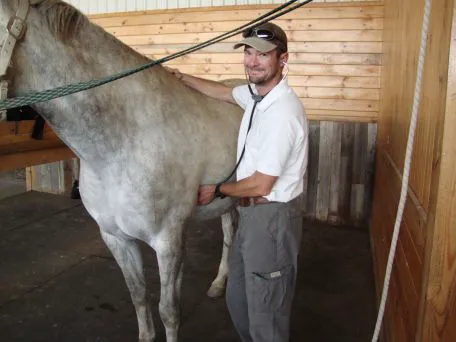 Aggie Vet and Farrier Services 1
