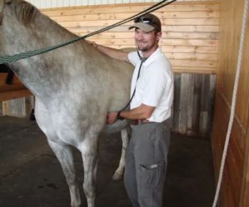 Aggie Vet and Farrier Services