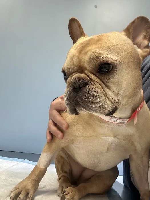 Animal Emergency & Specialty Center 5