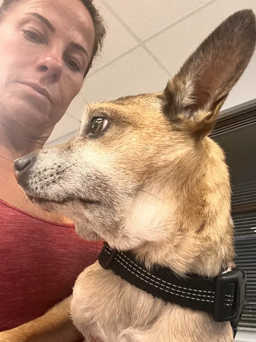Animal Emergency & Specialty Center 7