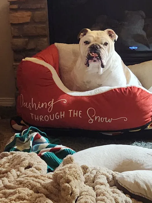 Animal Emergency & Specialty Center 9