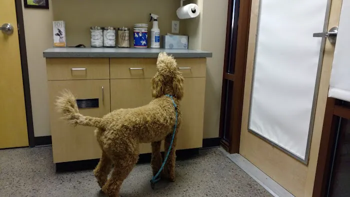 Pine Grove Animal Hospital, A Thrive Pet Healthcare Partner 6