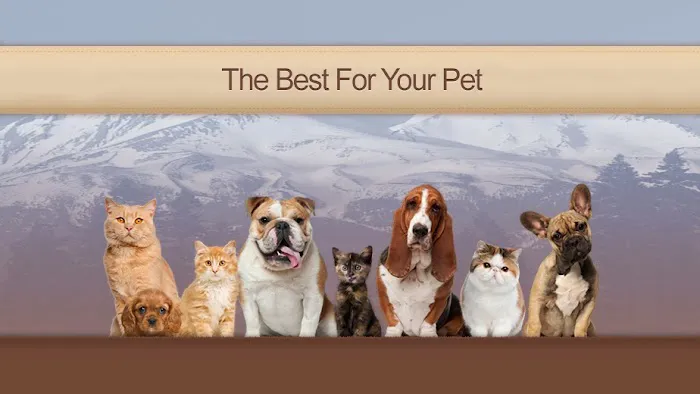 Pine Grove Animal Hospital, A Thrive Pet Healthcare Partner 2