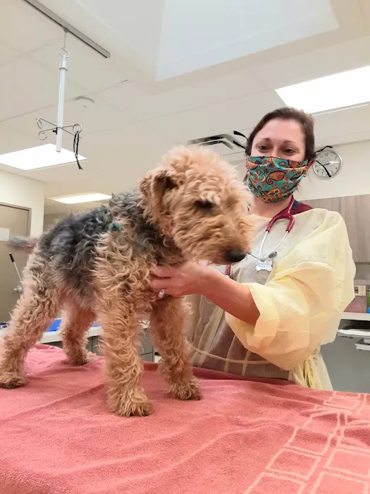 BluePearl Pet Hospital 3