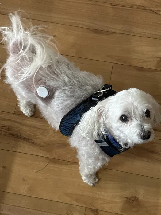 BluePearl Pet Hospital 5
