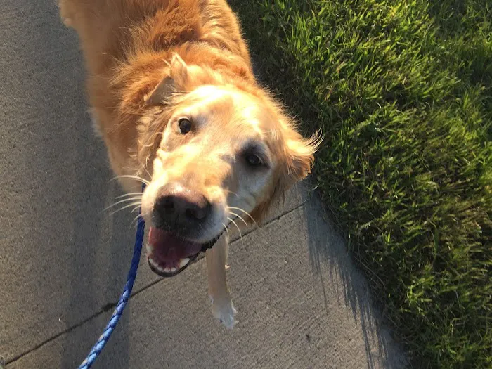 VCA Broadway Animal Hospital and Pet Center 9