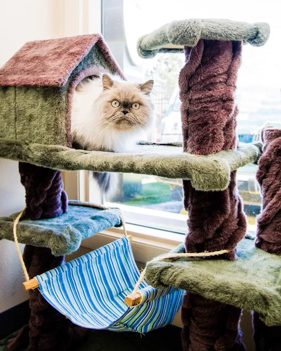 VCA Broadway Animal Hospital and Pet Center 7