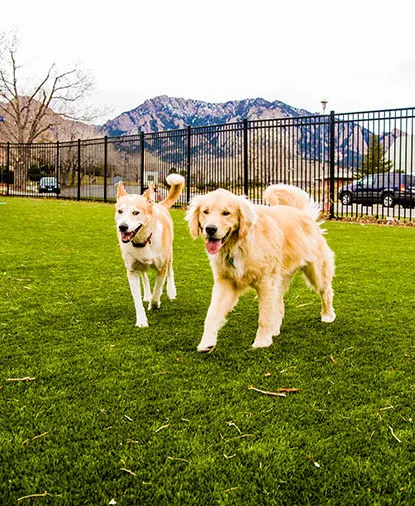VCA Broadway Animal Hospital and Pet Center 2