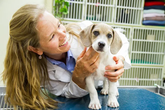 Lafayette Companion Animal Hospital 4