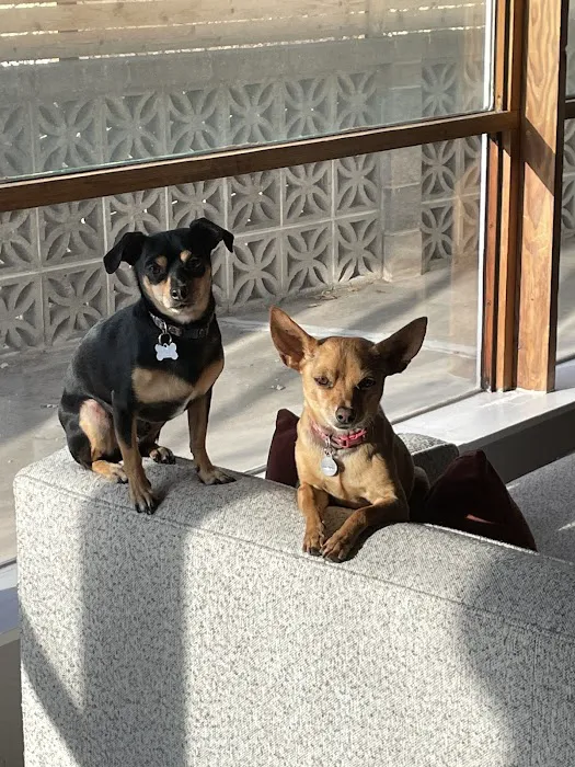 Lafayette Companion Animal Hospital 6